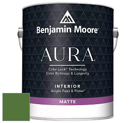 Benjamin Moore Aura 522 Interior Paint - Matte краска цвет RAL 6025 