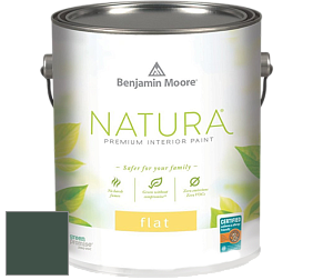 Benjamin Moore 512 Natura Interior Flat Finish матовая краска цвет 2041-10 Hunter Green