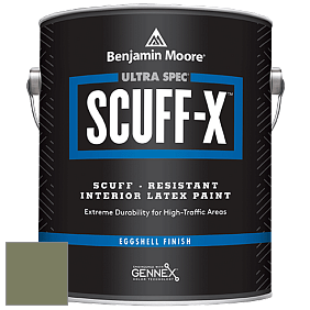 Benjamin Moore 485 Ultra Spec SCUFF-X Interior Eggshell Finish краска цвет NCS S 5020-G50Y 