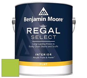 Benjamin Moore 547 Regal Select Waterborne Interior Flat Finish краска цвет NCS S 0570-G40Y 