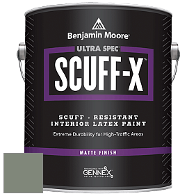Benjamin Moore 484 Ultra Spec SCUFF-X Interior Matte Finish краска цвет NCS S 5010-G30Y 