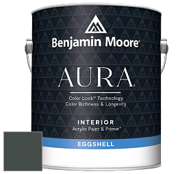 Benjamin Moore Aura 524 Waterborne Interior Eggshell Finish краска цвет NCS S 8005-B80G 