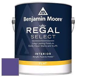 Benjamin Moore 547 Regal Select Waterborne Interior Flat Finish краска цвет NCS S 3555-R60B 