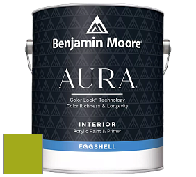 Benjamin Moore Aura 524 Waterborne Interior Eggshell Finish краска цвет 2027-10 Dark Lime