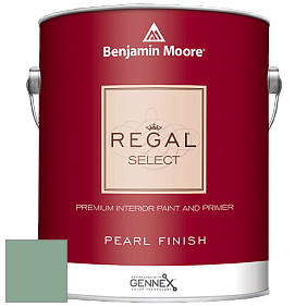 Benjamin Moore 550 Regal Select Waterborne Interior Pearl Finish краска цвет NCS S 3020-G 