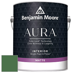 Benjamin Moore Aura 522 Interior Paint - Matte краска цвет 2036-10 Cat's Eye