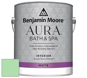 Benjamin Moore Aura 532 Bath & Spa Waterborne Interior Paint Matte Finish краска цвет 2033-50 Bud Green