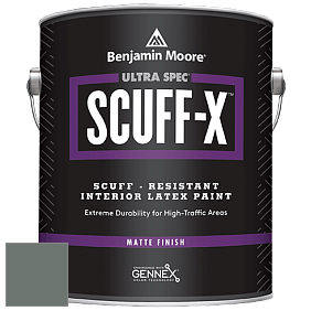 Benjamin Moore 484 Ultra Spec SCUFF-X Interior Matte Finish краска цвет NCS S 6005-G 