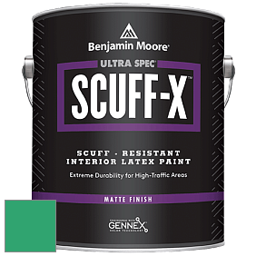 Benjamin Moore 484 Ultra Spec SCUFF-X Interior Matte Finish краска цвет NCS S 2060-G 