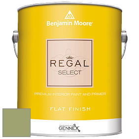 Benjamin Moore 547 Regal Select Waterborne Interior Flat Finish краска цвет NCS S 3030-G50Y 