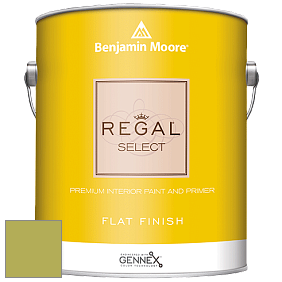 Benjamin Moore 547 Regal Select Waterborne Interior Flat Finish краска цвет NCS S 2050-G60Y 