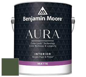 Benjamin Moore Aura 522 Interior Paint - Matte краска цвет RAL 6003 