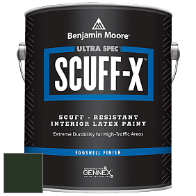 Benjamin Moore 485 Ultra Spec SCUFF-X Interior Eggshell Finish краска цвет RAL 6007 
