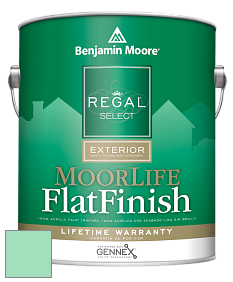 Benjamin Moore W105 Regal Select Exterior Paint-MoorLife Flat Finish краска цвет 2037-50 Greenwood Lake