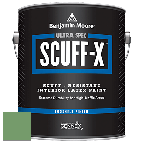 Benjamin Moore 485 Ultra Spec SCUFF-X Interior Eggshell Finish краска цвет NCS S 3040-G20Y 