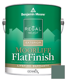 Краска Regal Select Exterior Paint-MoorLife Flat Finish (W105) цвет 685 Verdigris