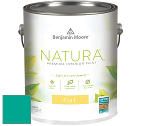 Benjamin Moore 512 Natura Interior Flat Finish матовая краска цвет NCS S 2060-B70G 