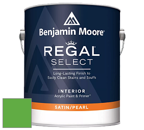 Benjamin Moore 550 Regal Select Waterborne Interior Pearl Finish краска цвет NCS S 1075-G20Y 