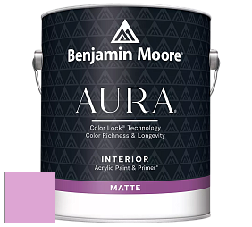 Benjamin Moore Aura 522 Interior Paint - Matte краска цвет 2077-50 Pretty Pink