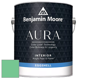Benjamin Moore Aura 524 Waterborne Interior Eggshell Finish краска цвет 2037-40 Adam Green
