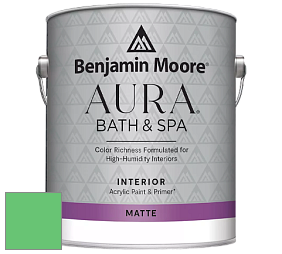 Benjamin Moore Aura 532 Bath & Spa Waterborne Interior Paint Matte Finish краска цвет NCS S 0565-G10Y 