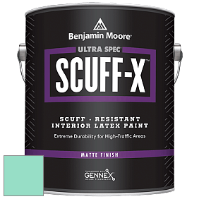 Benjamin Moore 484 Ultra Spec SCUFF-X Interior Matte Finish краска цвет 2042-50 Caribe Green