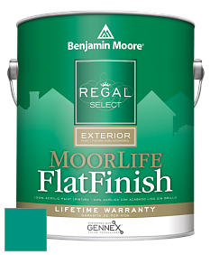 Benjamin Moore W105 Regal Select Exterior Paint-MoorLife Flat Finish краска цвет 2048-30 Aruba Blue