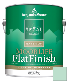 Краска Regal Select Exterior Paint-MoorLife Flat Finish (W105) цвет 584 St. John's Bay