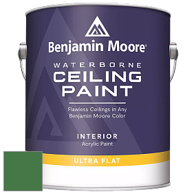 Benjamin Moore 508 Waterborne Ceiling Paint краска для потолков цвет 2035-20 Cactus Green