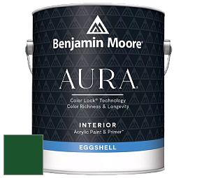 Benjamin Moore Aura 524 Waterborne Interior Eggshell Finish краска цвет RAL 6035 