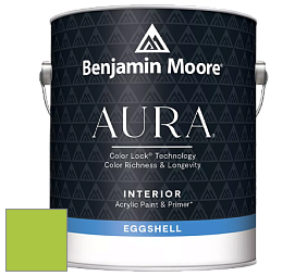 Benjamin Moore Aura 524 Waterborne Interior Eggshell Finish краска цвет NCS S 0570-G40Y 