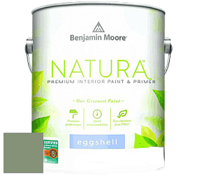 Benjamin Moore 513 Natura Interior Eggshell Finish краска с блеском цвет NCS S 4020-G30Y 