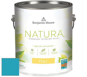 Benjamin Moore 512 Natura Interior Flat Finish матовая краска цвет NCS S 2050-B10G 