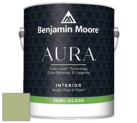 Benjamin Moore Aura 528 Waterborne Interior Semi-gloss Finish краска цвет NCS S 2030-G40Y 