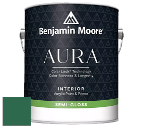 Benjamin Moore Aura 528 Waterborne Interior Semi-gloss Finish краска цвет 2042-10 True Green