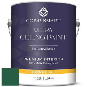 COLOR SMART CS 758 ULTRA CEILING PAINT ультраматовая краска цвет NCS S 5540-G 
