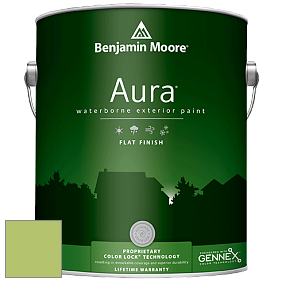 Benjamin Moore Aura 629 Waterborne Exterior Flat Finish краска цвет 2029-40 Stem Green