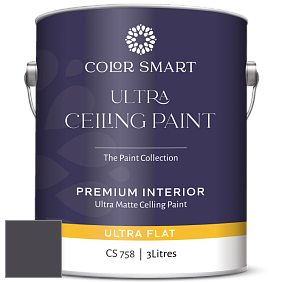 COLOR SMART CS 758 ULTRA CEILING PAINT ультраматовая краска цвет 2117-20 Galaxy