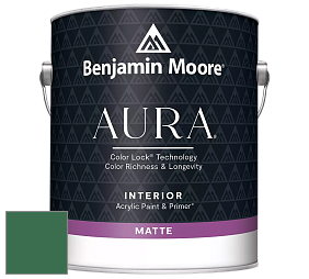 Benjamin Moore Aura 522 Interior Paint - Matte краска цвет 2040-20 Green Meadows