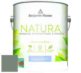Benjamin Moore 513 Natura Interior Eggshell Finish краска с блеском цвет NCS S 5010-G10Y 