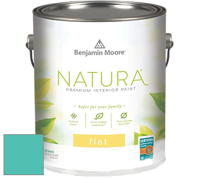 Benjamin Moore 512 Natura Interior Flat Finish матовая краска цвет 663 Teal Tone