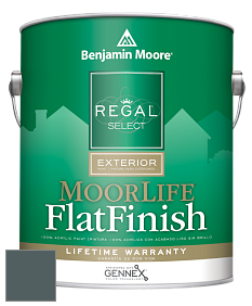 Benjamin Moore W105 Regal Select Exterior Paint-MoorLife Flat Finish краска цвет 2136-30 Amazon Green