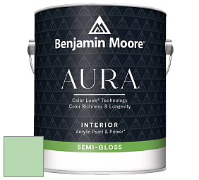 Benjamin Moore Aura 528 Waterborne Interior Semi-gloss Finish краска цвет RAL 6019 