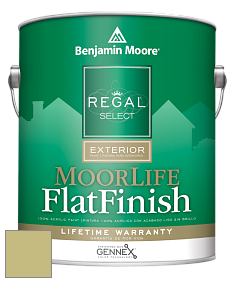 Benjamin Moore W105 Regal Select Exterior Paint-MoorLife Flat Finish краска цвет 2147-40 Dill Pickle