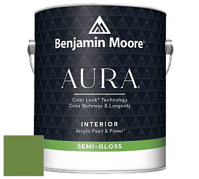 Benjamin Moore Aura 528 Waterborne Interior Semi-gloss Finish краска цвет NCS S 3060-G30Y 
