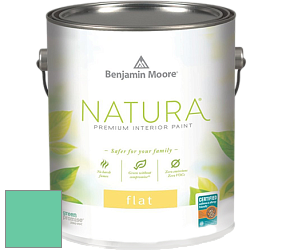 Benjamin Moore 512 Natura Interior Flat Finish матовая краска цвет 2039-40 Teal Blast