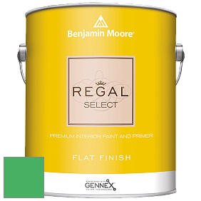 Benjamin Moore 547 Regal Select Waterborne Interior Flat Finish краска цвет NCS S 1070-G10Y 