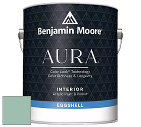 Benjamin Moore Aura 524 Waterborne Interior Eggshell Finish краска цвет NCS S 2020-B90G 