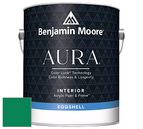 Benjamin Moore Aura 524 Waterborne Interior Eggshell Finish краска цвет NCS S 3060-G 