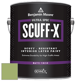 Benjamin Moore 484 Ultra Spec SCUFF-X Interior Matte Finish краска цвет NCS S 2040-G40Y 